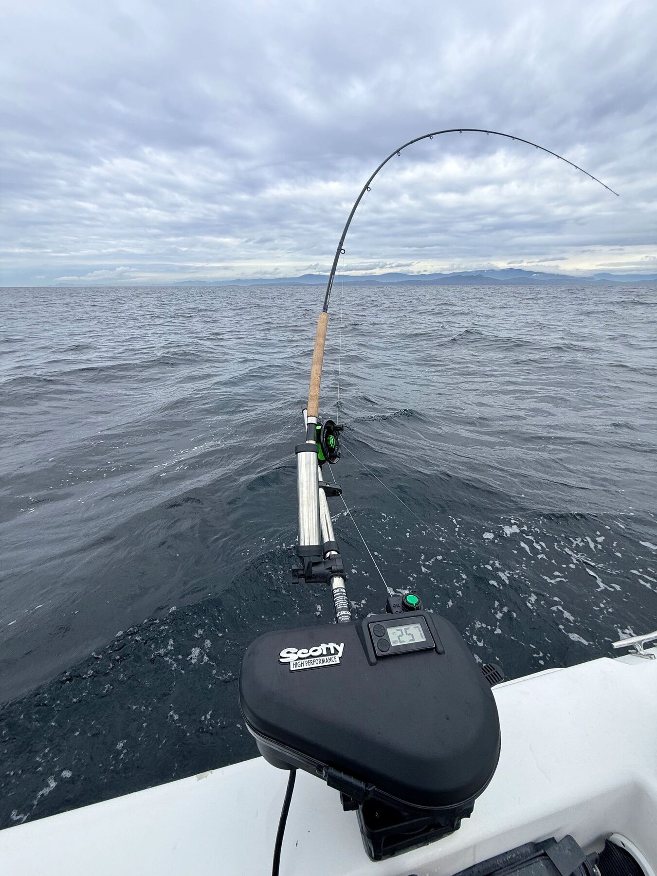 Fishing rod bent during a private Vancouver Island charter