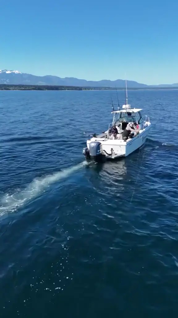 Live Life Coastal’s Striper underway with guests aboard, coastal mountains beyond